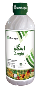 Anglo 1Ltr Dumy