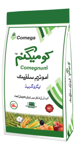 Comegnum dummy new