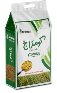 Comraj Dummy File Right Side