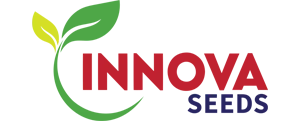 innova-seeds